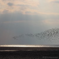 /album/frida-dumont-photographies/frida-dumont-img-3932-jpg2/